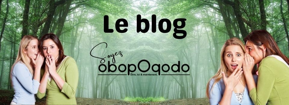 Le blog, soyez obopoqodo.